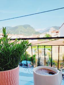 a cup of coffee sitting on a table next to a plant at Intimate Olympus House in Litochoro