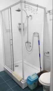 a bathroom with a shower with a mop and a toilet at LUČICE - 2025 - PETROVAC, Prijevorac, BB - Apartment - OXANA - Stan 1 in Petrovac na Moru