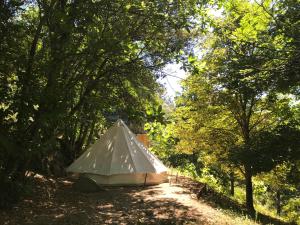 SoudorguesにあるLE PETIT REFUGE DU VAL D’EMERAUDEの森の中に座るテント