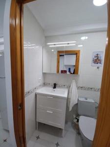 La salle de bains est pourvue d'un lavabo, de toilettes et d'un miroir. dans l'établissement Bonito apartamento en Laredo, à Laredo