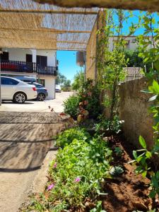 Zahrada ubytování Apartman Frketić