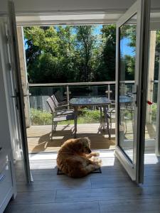 un perro tirado en el suelo delante de una puerta en Beautiful Riverside Holiday Home en Callander