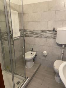 a bathroom with a shower and a toilet and a sink at Hotel Giulietta e Romeo in Casal Palocco