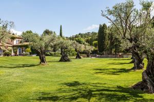 un campo de césped verde con árboles en él en Domaine Les Mésanges, en Saint-Tropez