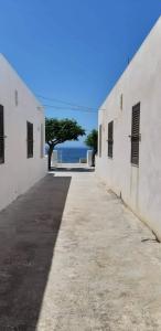 ścieżka pomiędzy dwoma białymi budynkami z drzewem w oddali w obiekcie Ad un passo dal Mare w mieście Petrosino