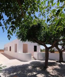 un edificio bianco con un albero di fronte di Ad un passo dal Mare a Petrosino