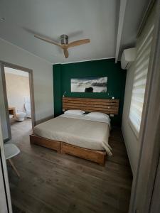 een slaapkamer met een bed met een groene muur bij Why Not B&B in San Polo Matese