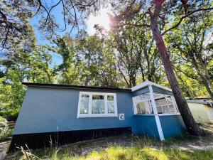 a blue house with a tree in front of it at Bungalow "Strandblick" in Göhren