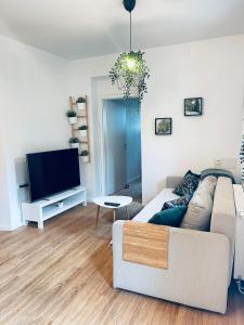 a living room with a couch and a flat screen tv at Apartma Naty in Ljubljana