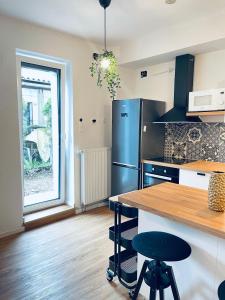 a kitchen with a stainless steel refrigerator and a counter at Apartma Naty in Ljubljana