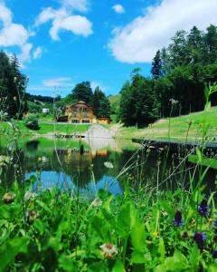 a house on a hill next to a lake at Zelena Oaza in Zgornja Kungota