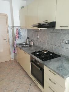 Kuchyň nebo kuchyňský kout v ubytování Pretty big double bed room with balcony