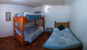 維庫尼亞的住宿－Hostal Michel，一间卧室配有两张双层床。