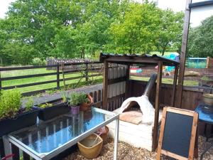 a garden with a table and some plants at Route 47 Glamping Bell Tents in Cross Hands +2 photos