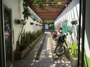 Jízda na kole v ubytování Tambopata Hostel nebo okolí