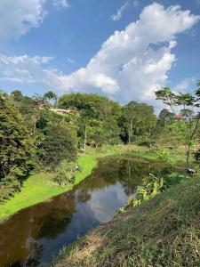 un río en un campo con césped y árboles en Entre Bambús, en Pereira