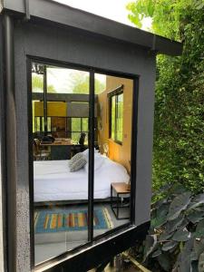 1 dormitorio con 1 cama en una ventana de cristal en Entre Bambús, en Pereira