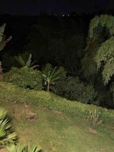 Fotografie z fotogalerie ubytování Entre Bambús v destinaci Pereira