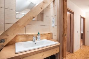 łazienka z umywalką i lustrem w obiekcie Apartman Odolov Jestřebí hory w mieście Malé Svatoňovice +12 zdjęć