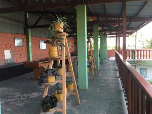 Bazén v ubytování Tambopata Hostel nebo v jeho okolí