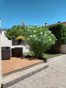 Κήπος έξω από το Villa L'Estartit
