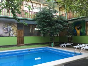 Bazén v ubytování Tambopata Hostel nebo v jeho okolí