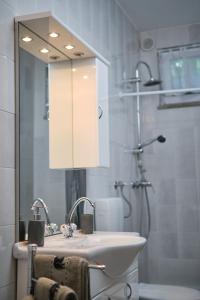 a bathroom with a sink and a shower with a mirror at Apartma Pic Ros in Kojsko