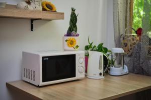 Köök või kööginurk majutusasutuses Apartma Pic Ros