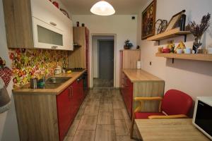 a small kitchen with red cabinets and wooden floors at Apartma Pic Ros in Kojsko