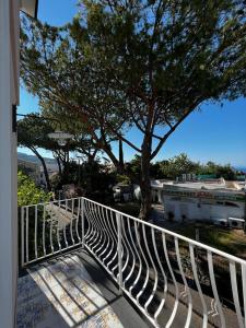 a balcony with a white railing and a tree at Villa Rosa in Ischia