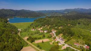 an aerial view of a resort with a lake and trees at Apartman Rozmari in Lokve