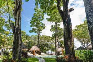 un complejo con piscina y árboles en Playa Cielo Beach Front hotel, en Santa Teresa Beach