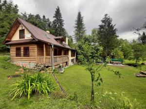 赫拉布斯Chata Konzajf的庭院中的小木屋