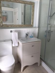a bathroom with a toilet and a sink and a shower at Stone Cottage in Thornage