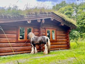 阿爾弗斯頓的住宿－Log home village，站在小木屋前的马