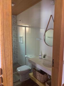 W łazience znajduje się toaleta, umywalka i lustro. w obiekcie Casa De Férias e Hospedagem Ana Lua w mieście Visconde De Maua