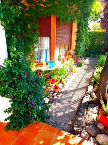 a house with a row of potted plants in a garden at Casa de Antonio MURCHANTE in Murchante
