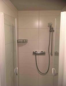 a bathroom with a shower with a glass door at Ruheoase in Wolfern, zw. Wien & Salzburg in Maria Laah