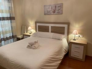 Katil atau katil-katil dalam bilik di Canillo L'Areny Star