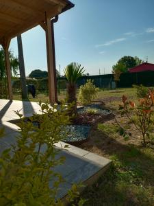einen Garten mit mehreren Pflanzen und einem Pavillon in der Unterkunft La Quercia in Cavallino-Treporti