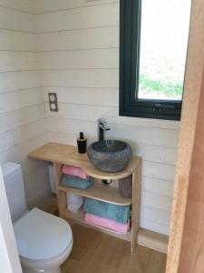 a bathroom with a sink and a toilet at Tiny house avec spa privatif 
