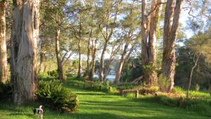 Kebun di luar Twenty on Lake