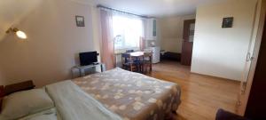 a bedroom with two beds and a television in it at U Wojtaszka in Mizerna
