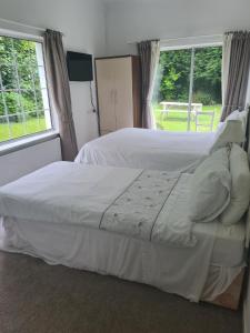 Gallery image of Innisfree Guest House in Sligo +20 photos