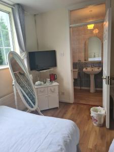 TV a/nebo společenská místnost v ubytování Innisfree Guest House + 25 fotografií