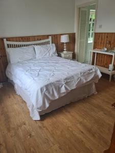 Gallery image of Innisfree Guest House in Sligo