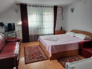 a bedroom with a bed and a couch and a television at Casa Lica in Căciulata