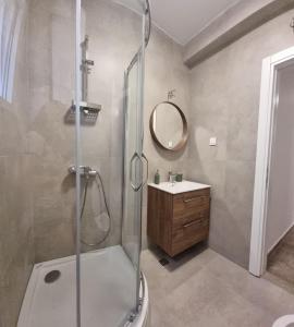 a bathroom with a shower and a sink at Old town Apartments in Herceg-Novi