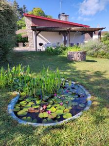 a pond with lilies in front of a house at Villa des petites Chaumes in Avallon