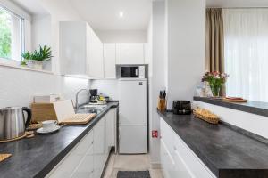 Kuchyňa alebo kuchynka v ubytovaní Top Location Apartment "Park"